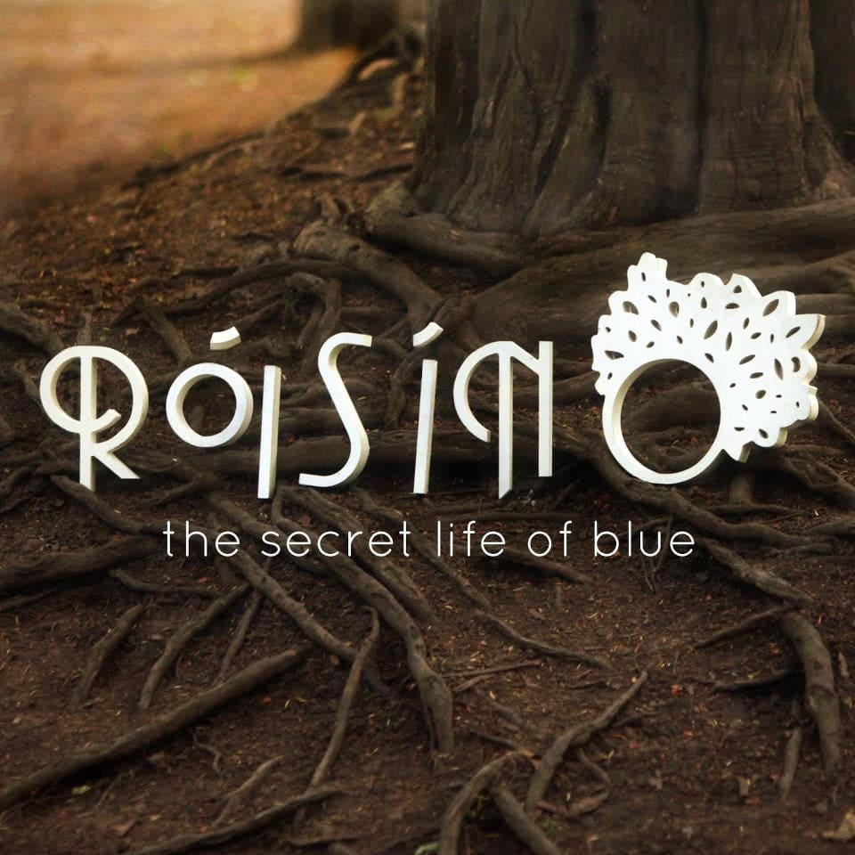 The Secret Life of Blue - Róisín O [CD]